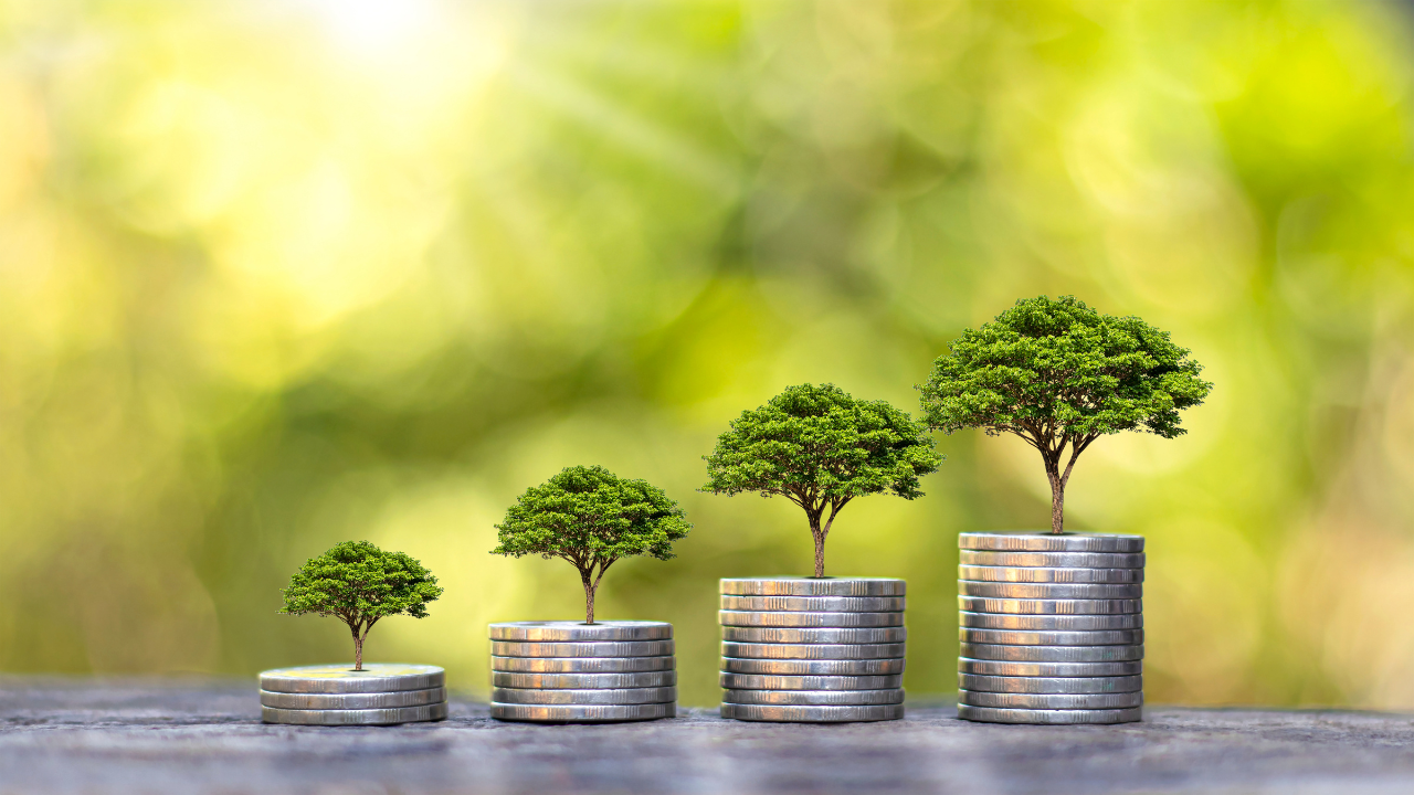 How to Build Financial Resilience: Thrive in Uncertain Times Without Losing Control
